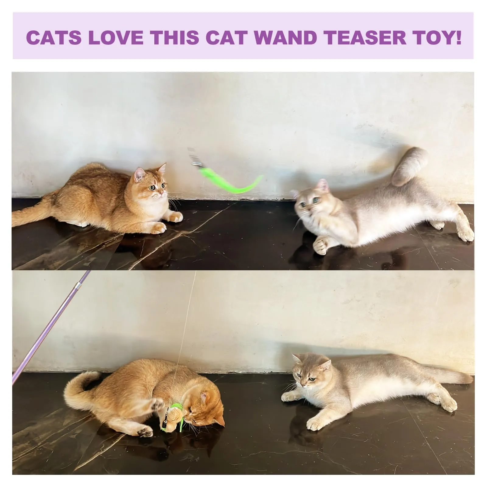 11PCS Cat Wand Toy, Cat Toys Interactive for Indoor Cats, 2 Retractable Cat Wand, 7 Worm Cat Teaser Toys and 1 Plush Fish Cat Toy, Cat Feather Toys for Play Chase Exercise with Kitten, Extra 1 Line