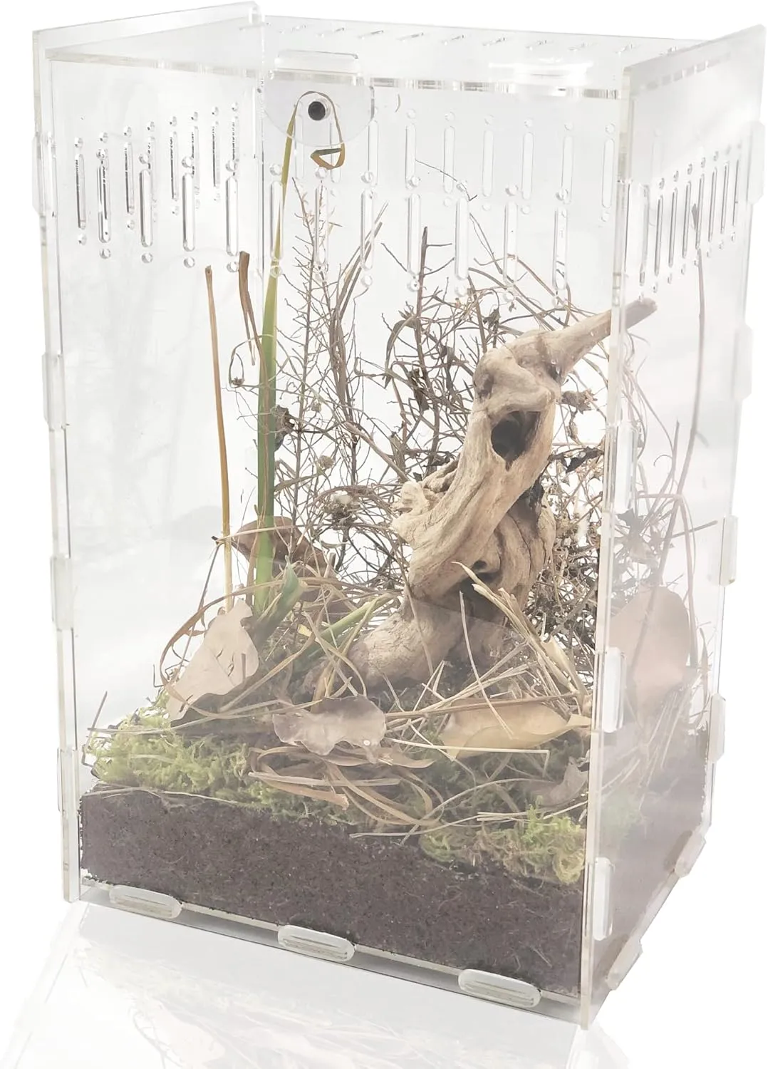12x8x6 inch Magnetic Acrylic Reptile Case, Vertical Transparent Tarantula Enclosure Tank, Micro Habitat Terrariums Suitable for Insect, Spiders, Crickets, Snails, Hermit Crabs, Lizards, Frogs