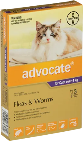 Advocate Cat Purple for Large Cats (>4kg) - Flea and Worm Treatment