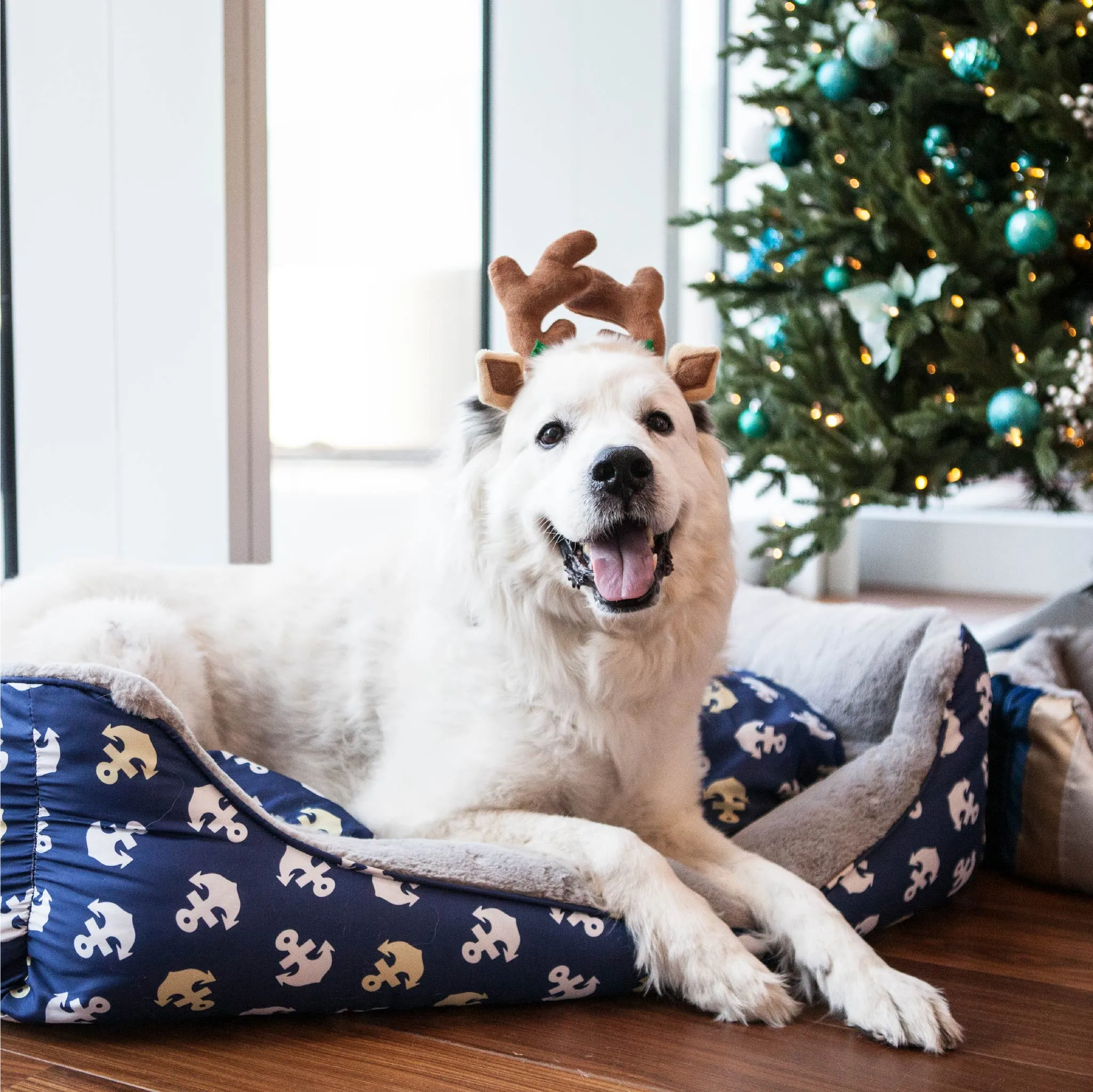 Anchor's Away Reversible Pet Bed Soft Calming Pet Bed, Anti-Anxiety, Nonskid Bottom, Premium Comfort Plus Pet Bed for Large/Medium/Small Dogs/Cats, SUPPORTS UP TO 90LBS (45"x30"x10")