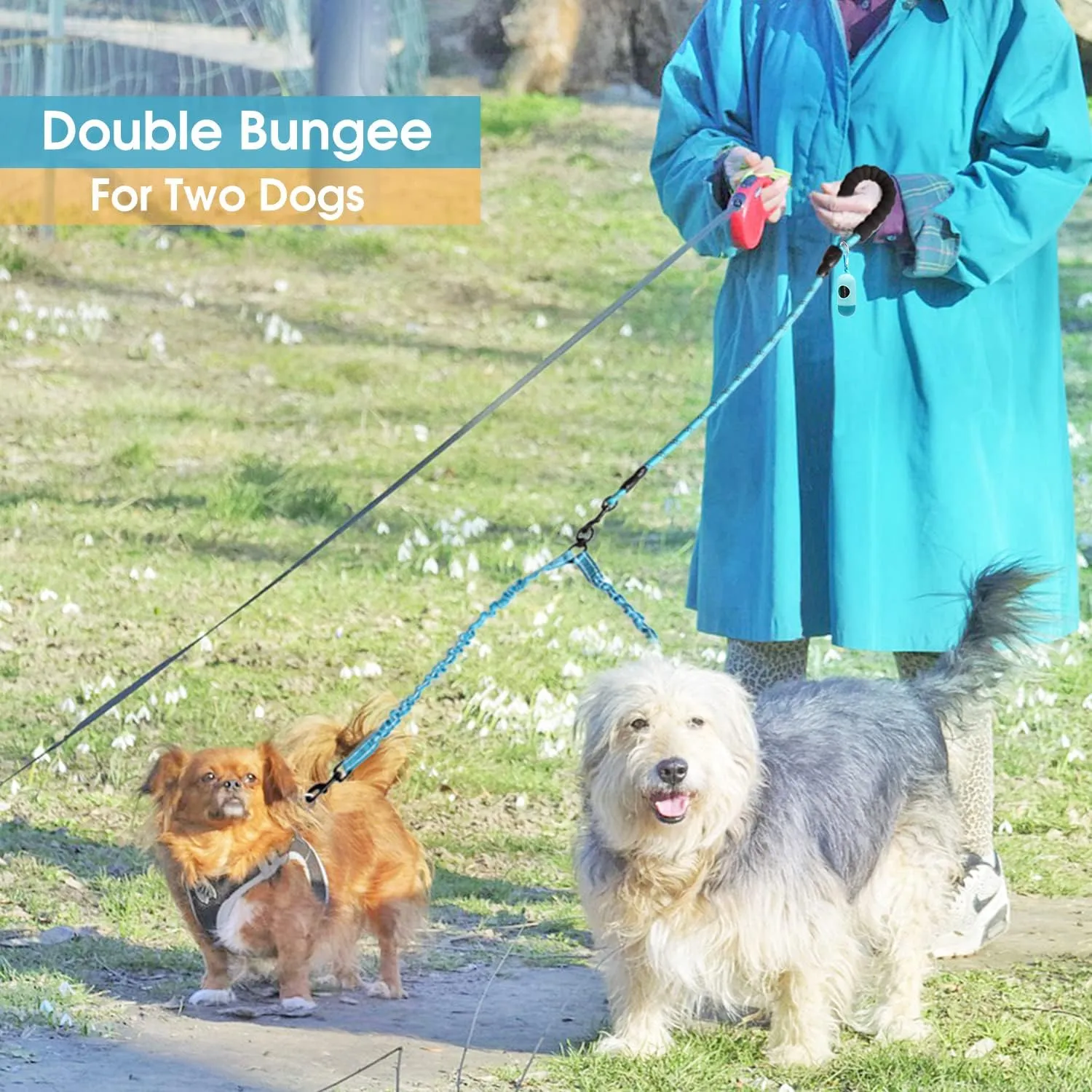 BAAPET Double Dog Leash, 4 FT Rope Dog Leash with Tangle Free Shock Absorbing Bungee and Poop Bags for Dual Small Medium Large Dogs (Medium/Large, Black)
