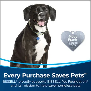 BISSELL PowerFresh Pet Scrubbing & Sanitizing Steam Mop
