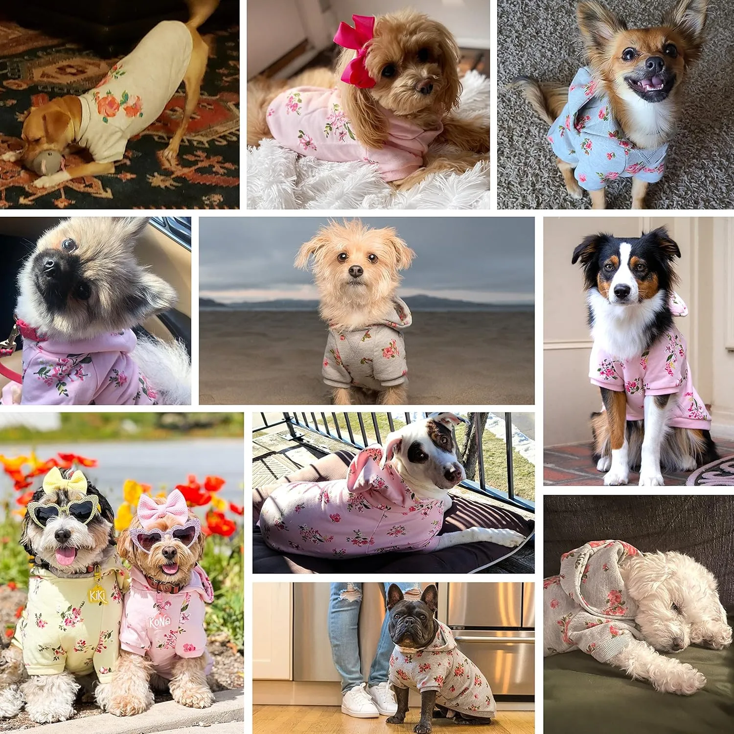 Blueberry Pet Christmas Sweater Dog Hoodie - Stylish Grey Rose Flower Pullover Fleece Dog Sweater Vest, Dog Clothes & Pajamas, Dog Accessories, Hooded Dog Sweaters for Medium Dogs Girl