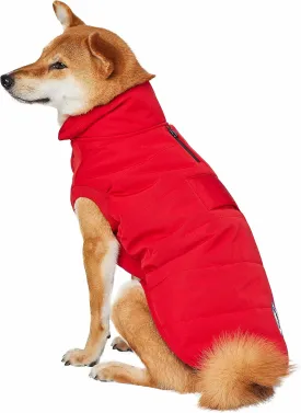Blueberry Pet Cozy Dog Coat - Comfy & Waterproof Dog Jacket, True Red Dog Clothes, Puffer Winter Dog Coats for Small Dogs, Dog Winter Coat, Apparel for Medium Dogs, Outdoor Accessories