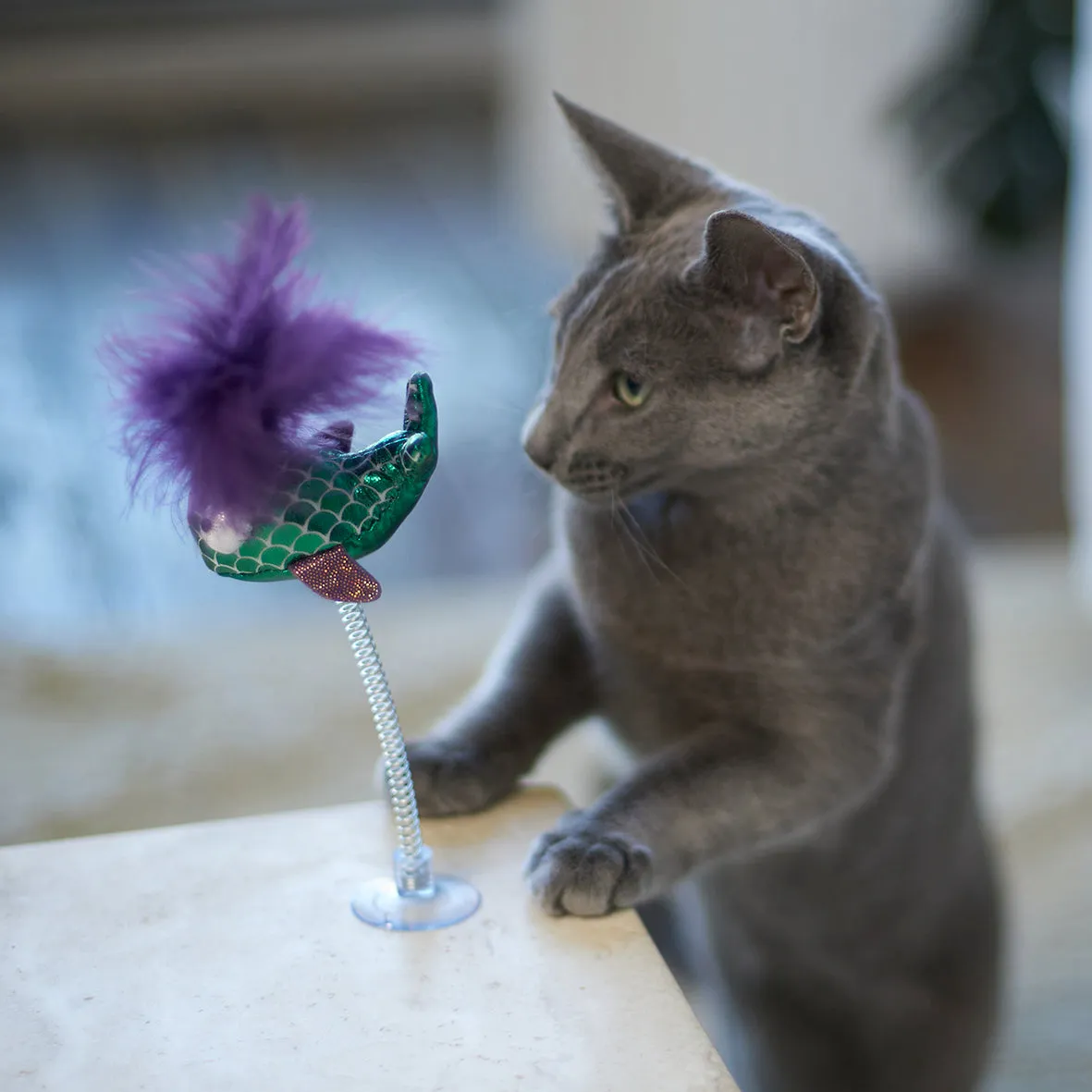 Bouncy Fish with catnip and spring suction cap