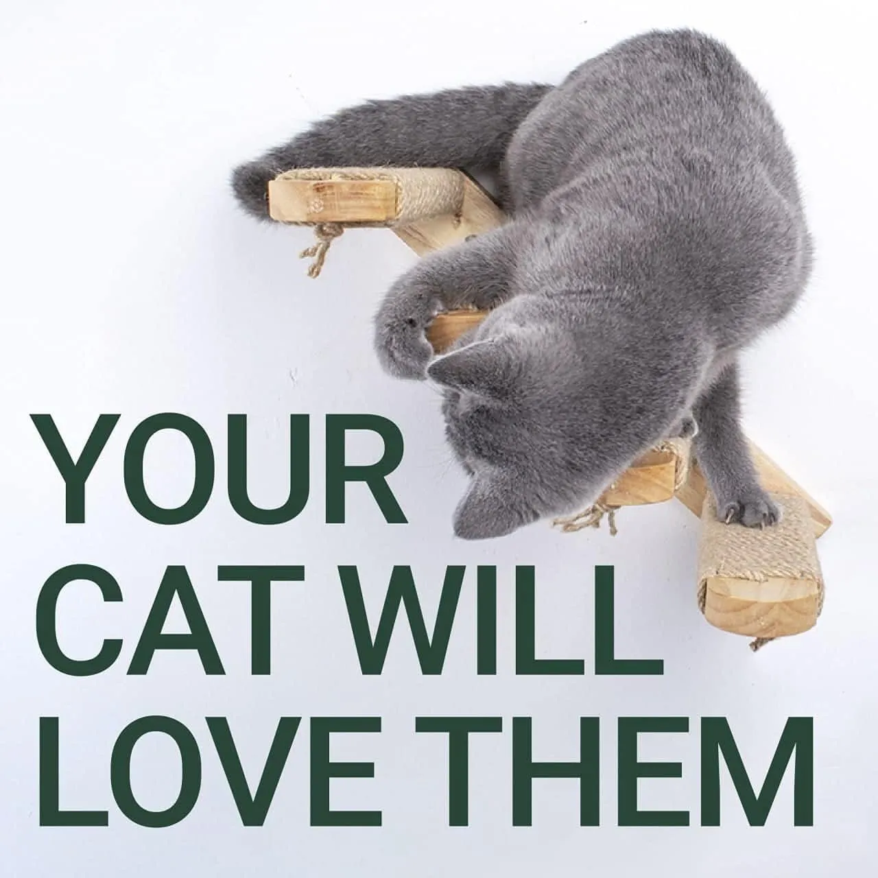 Cat Wall Steps