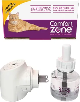 Comfort Zone 
