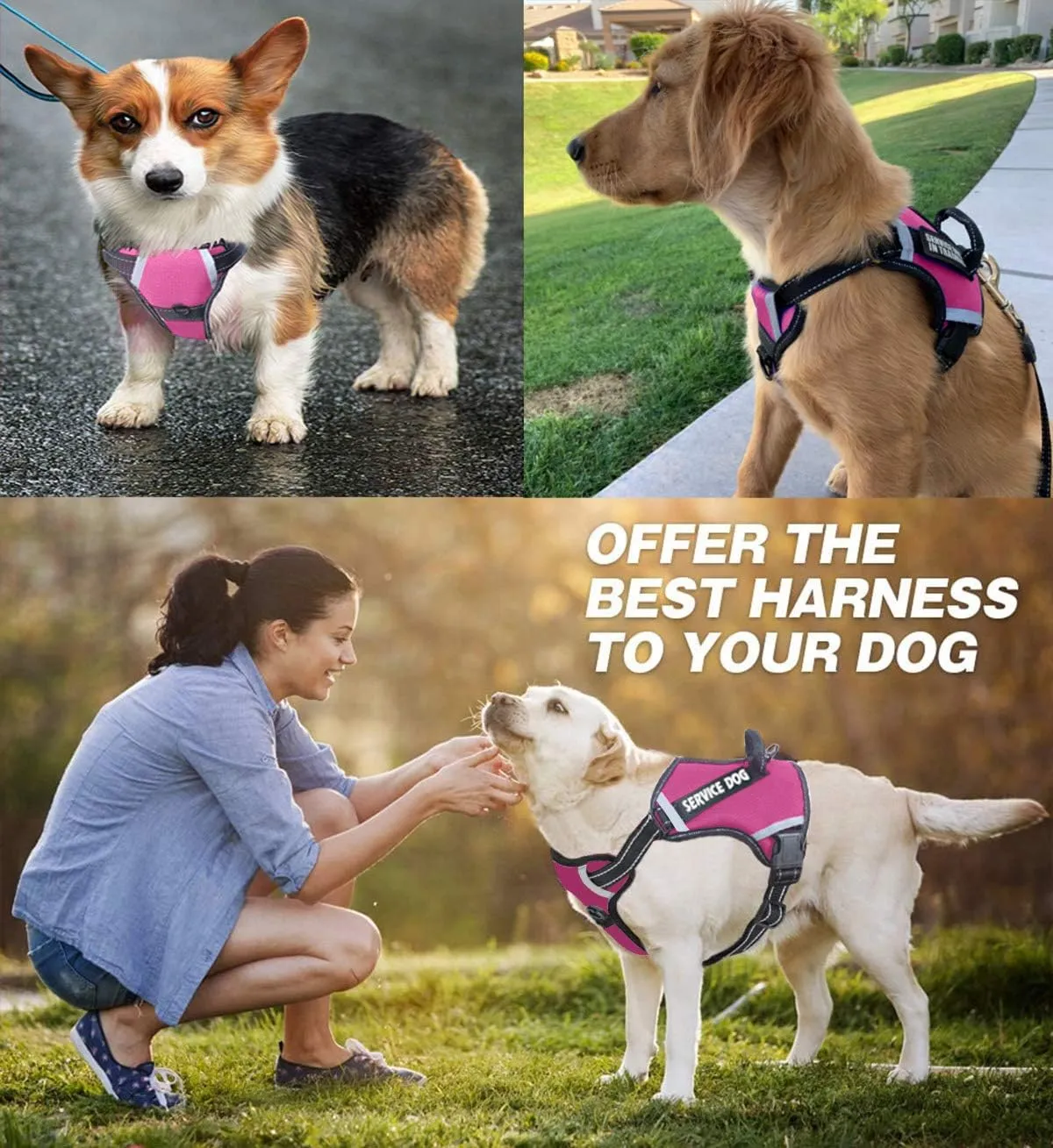 Cymiler Dog Harness,No-Pull Service Dog Harness with Handle,Adjustable Comfort Pet Dog Vest Harness for Outdoor Walking (L:Neck 18.1-27.6"|Chest 24-36.6", Rose Red)