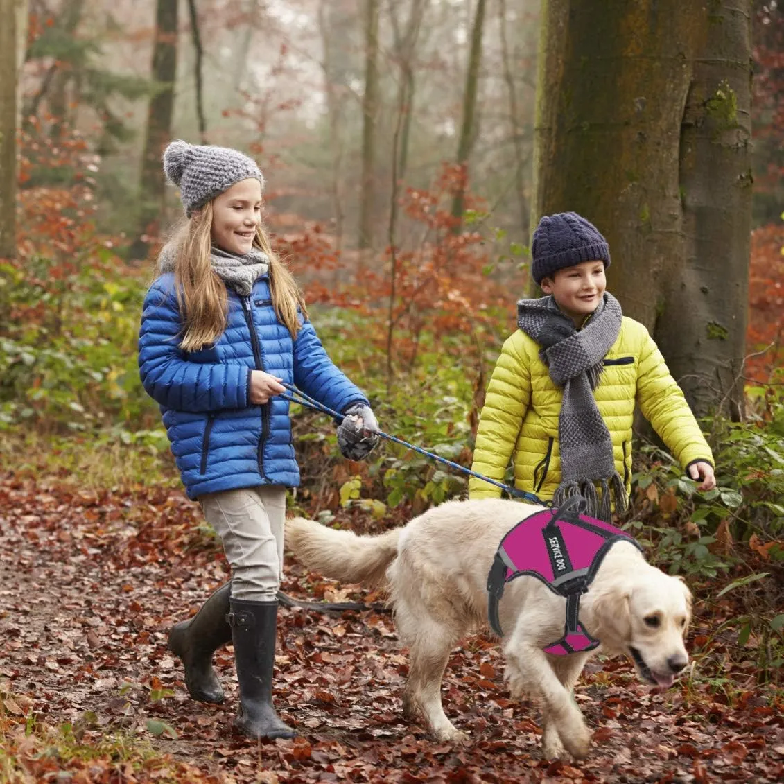 Cymiler Dog Harness,No-Pull Service Dog Harness with Handle,Adjustable Comfort Pet Dog Vest Harness for Outdoor Walking (L:Neck 18.1-27.6"|Chest 24-36.6", Rose Red)