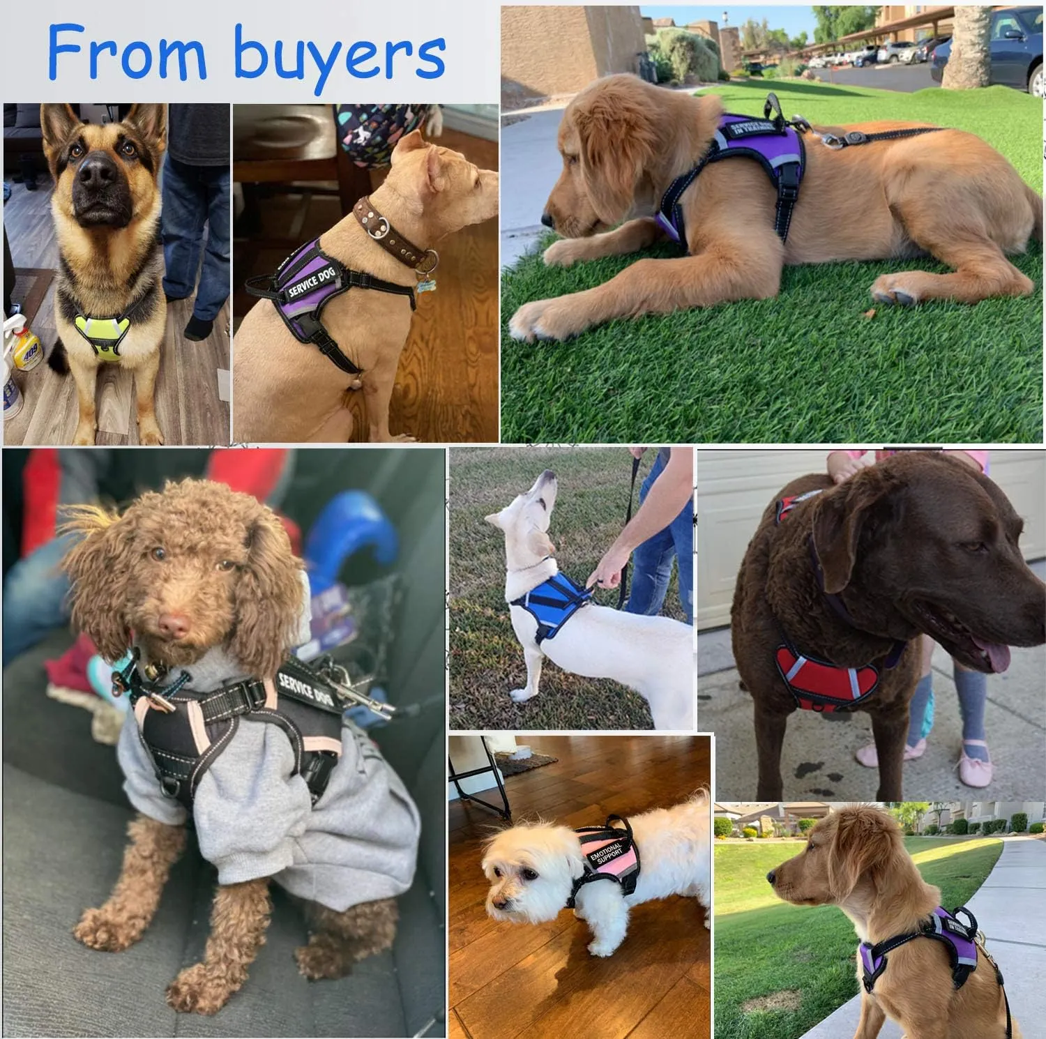 Cymiler Dog Harness,No-Pull Service Dog Harness with Handle,Adjustable Comfort Pet Dog Vest Harness for Outdoor Walking (L:Neck 18.1-27.6"|Chest 24-36.6", Rose Red)