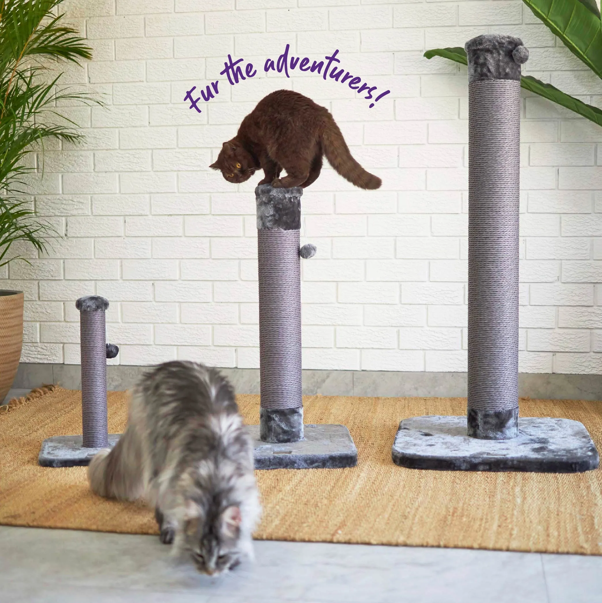 Eco Cat Scratch Post in Charcoal - Small