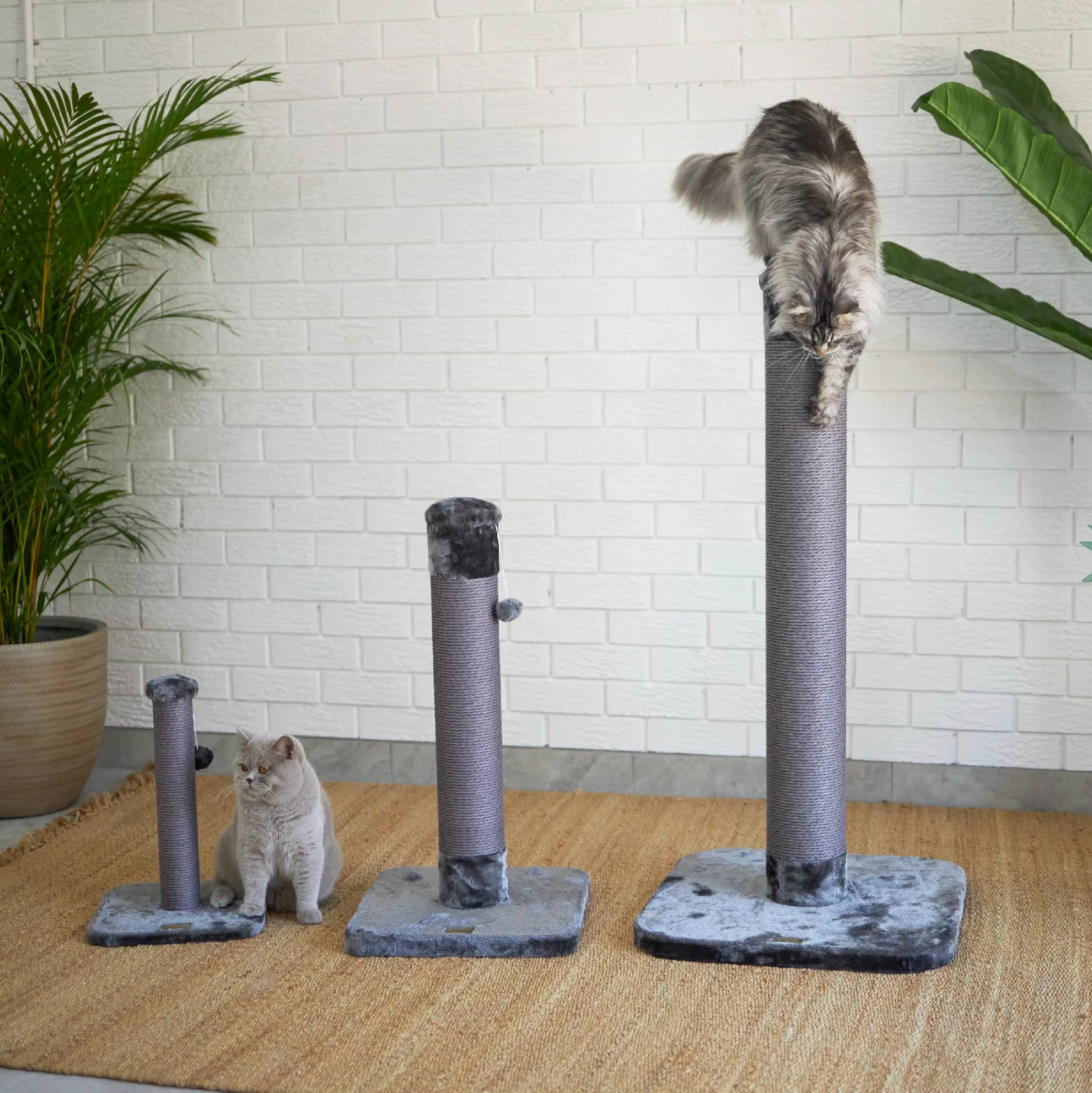 Eco Cat Scratch Post in Charcoal - Small