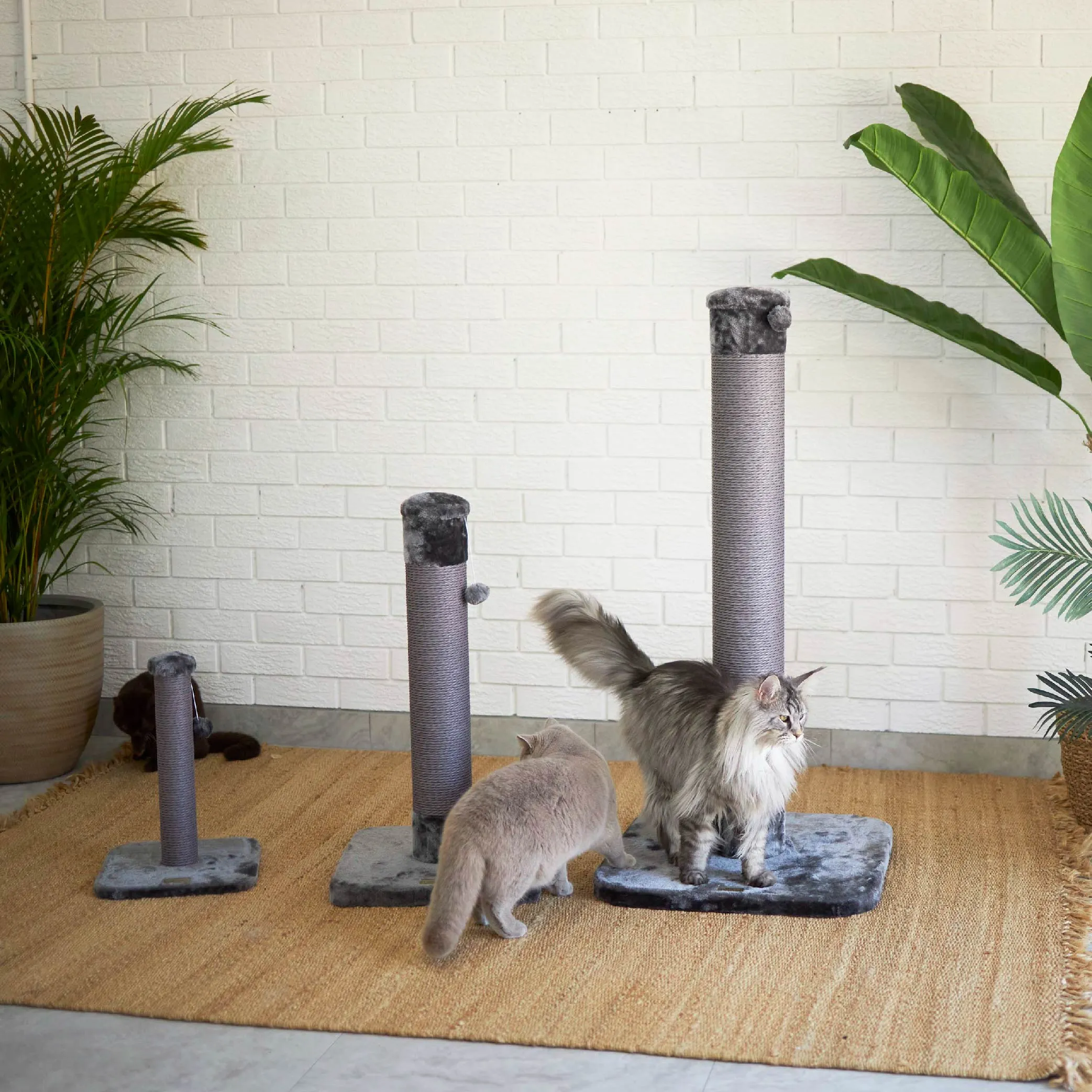 Eco Cat Scratch Post in Charcoal - Small