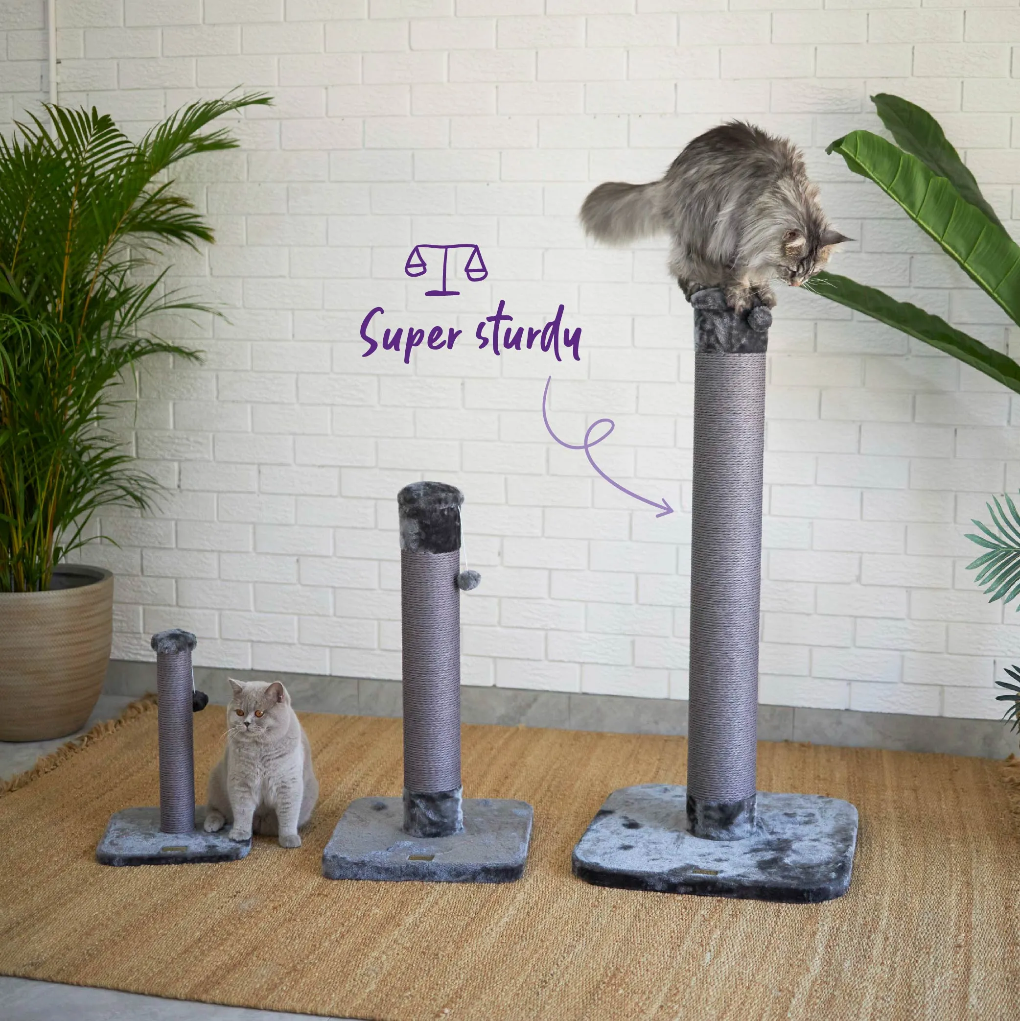 Eco Cat Scratch Post in Charcoal - Small
