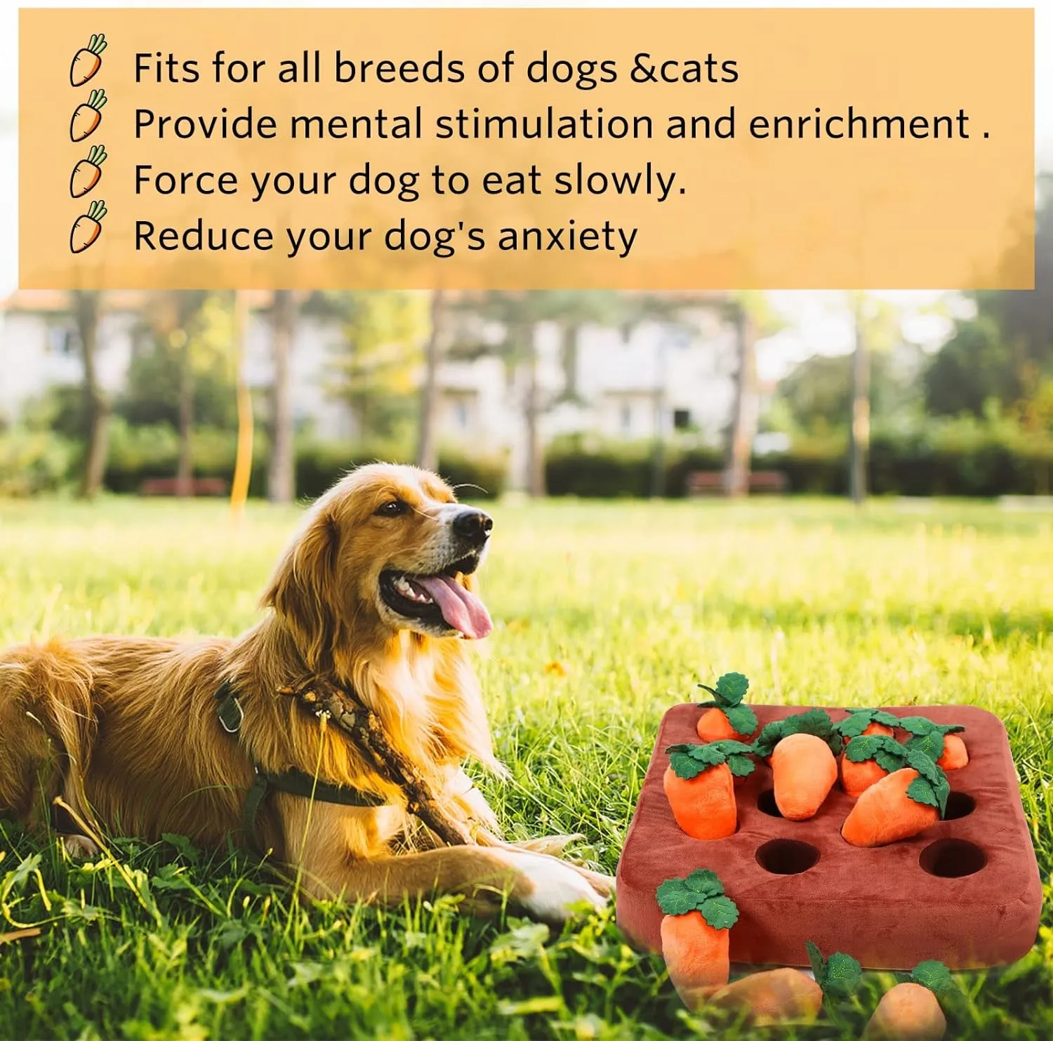 Enrichment Dog Puzzle Toys