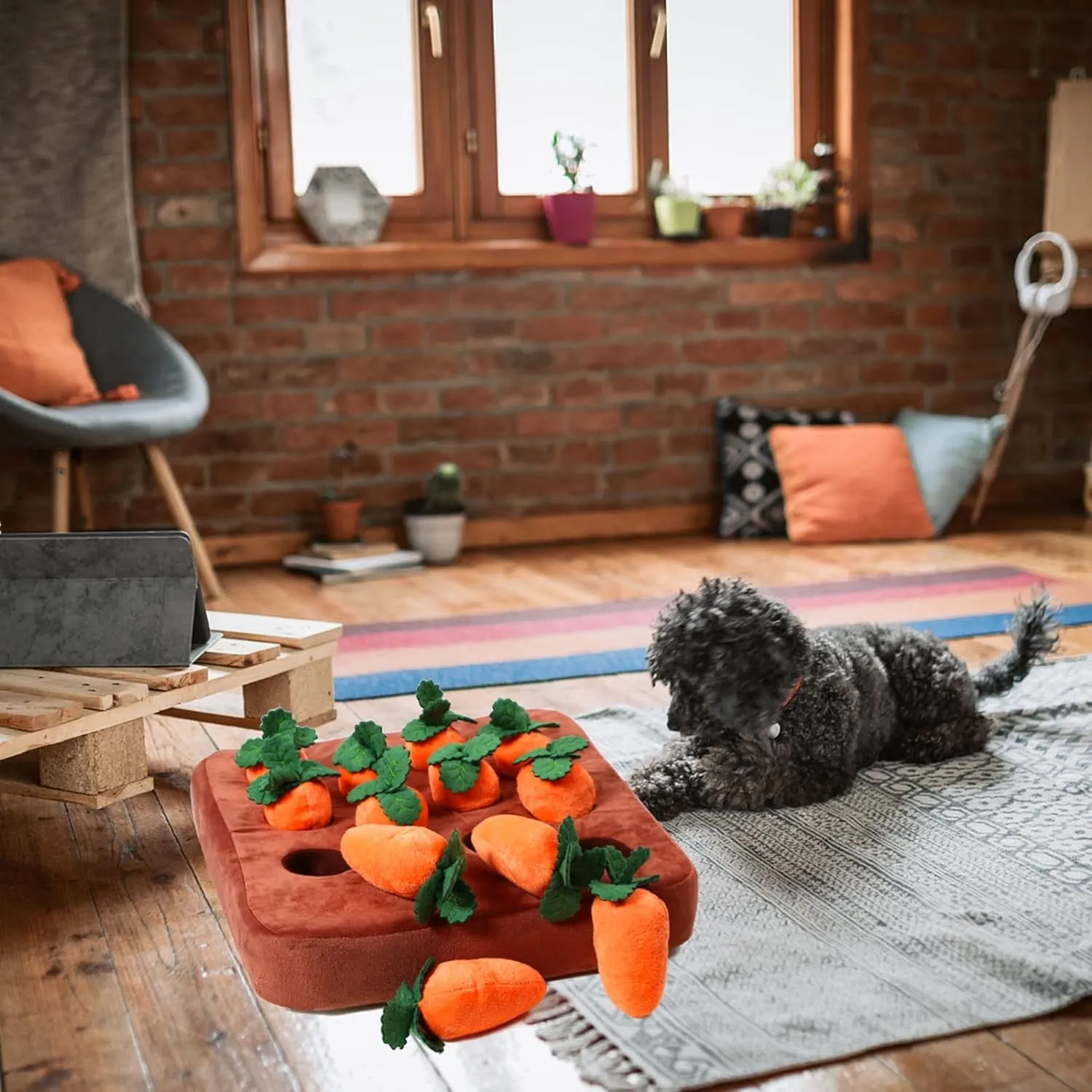 Enrichment Dog Puzzle Toys