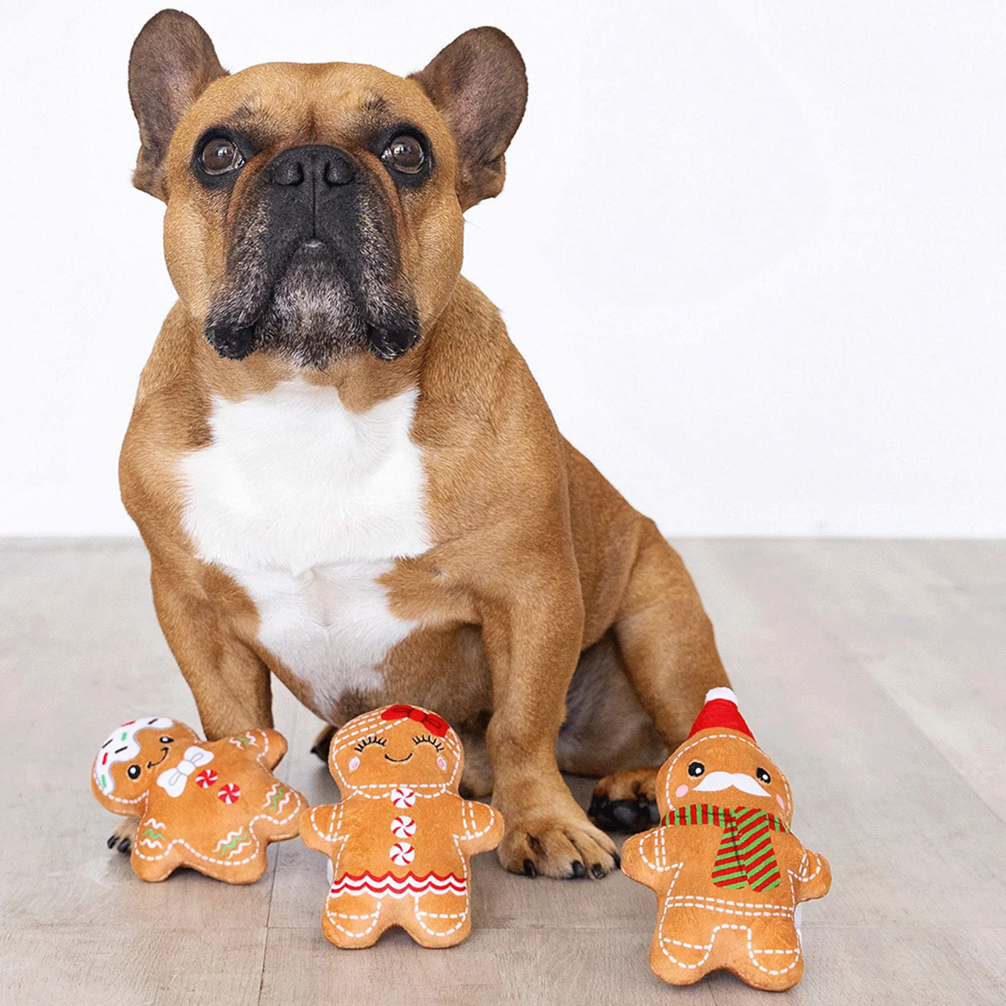 Fringe Gingerbread Everything Dog Toys