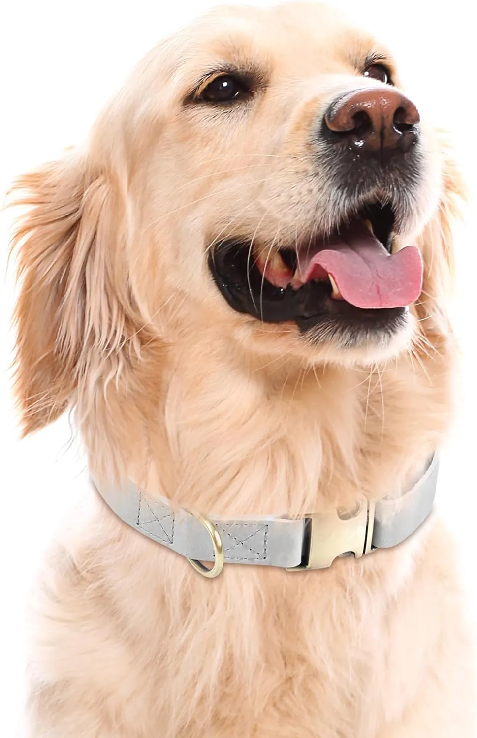 HIFA Geniune Leather Dog Collar - Soft Touch Rustic Leather, Vintage Retro Style, Easy Adjustability, Durable Quick Release Buckle - Collar for Dogs and Cats, Leather Cat Collar