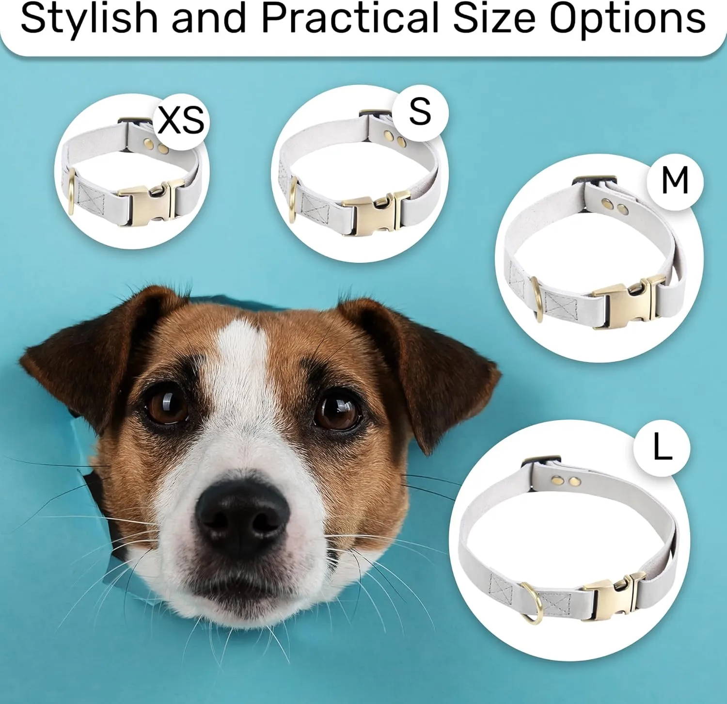 HIFA Geniune Leather Dog Collar - Soft Touch Rustic Leather, Vintage Retro Style, Easy Adjustability, Durable Quick Release Buckle - Collar for Dogs and Cats, Leather Cat Collar
