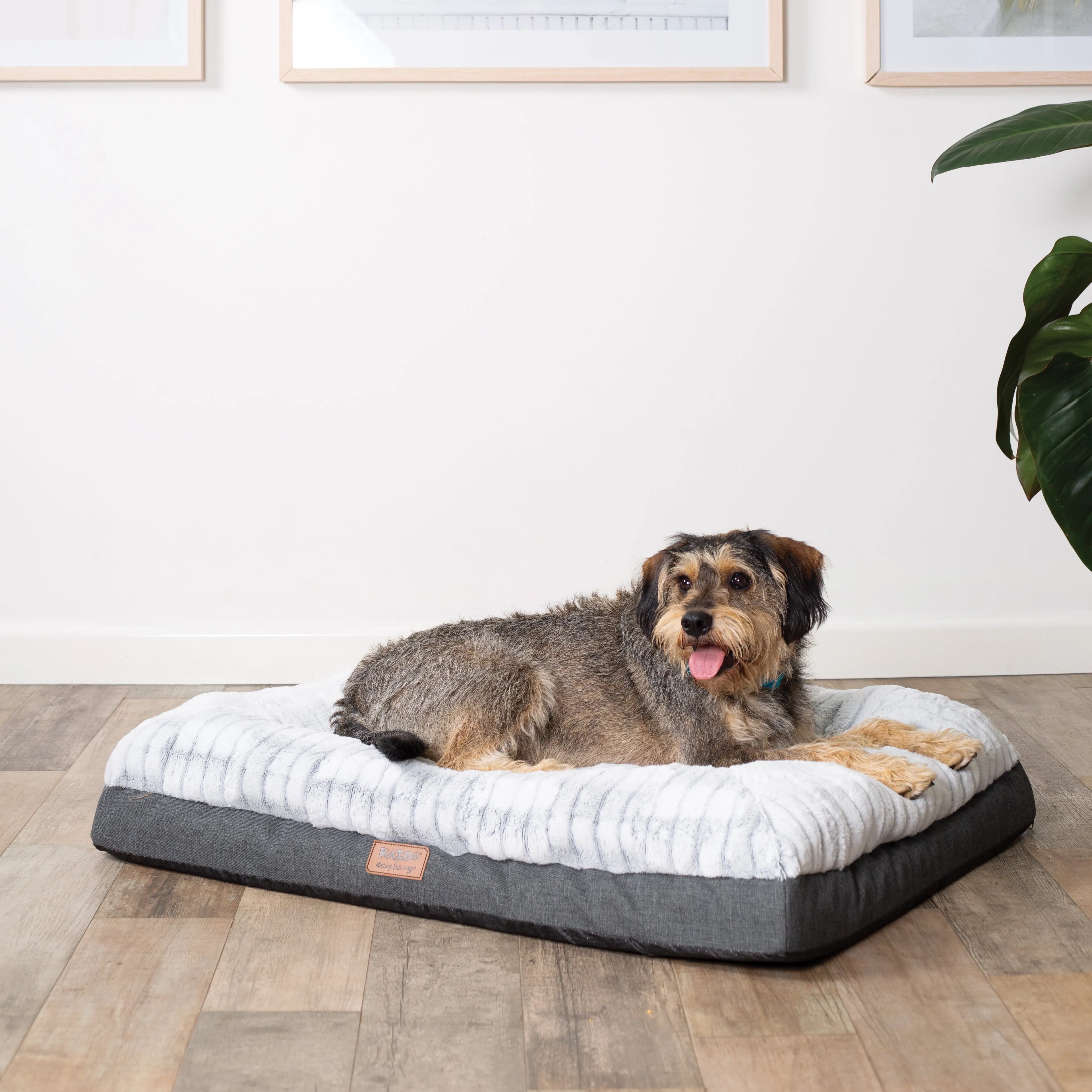 Kazoo Cloud Comfort Extra Large Grey Dog Bed^^^