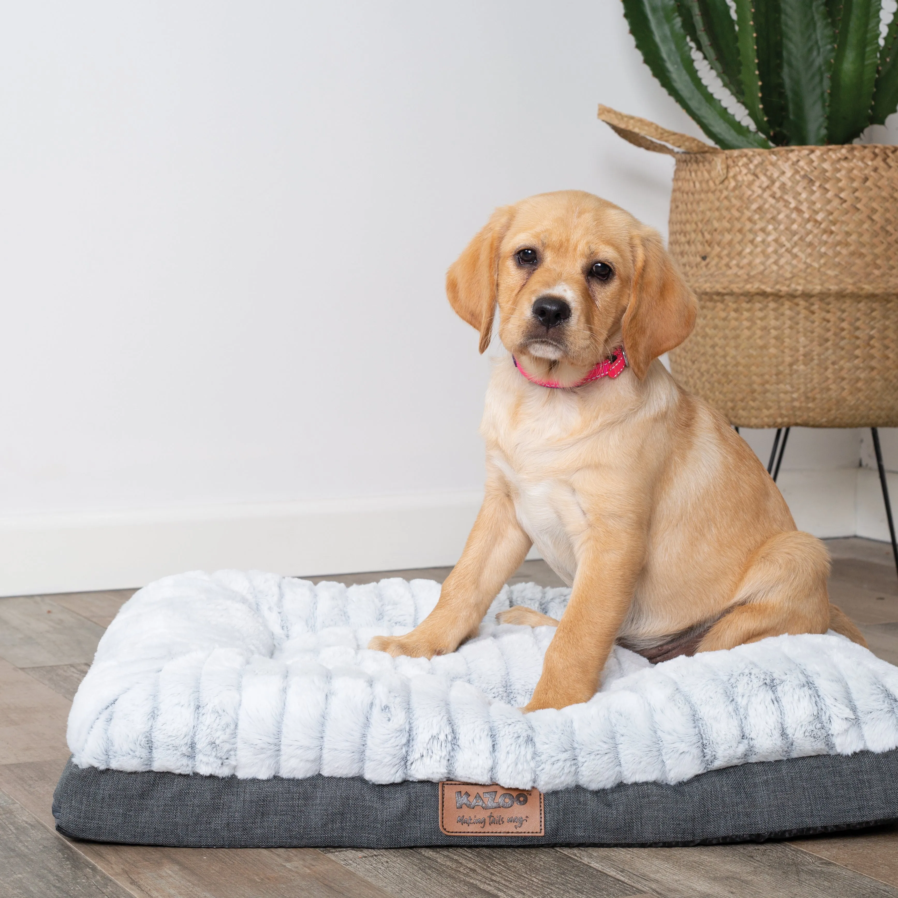 Kazoo Cloud Comfort Extra Large Grey Dog Bed^^^