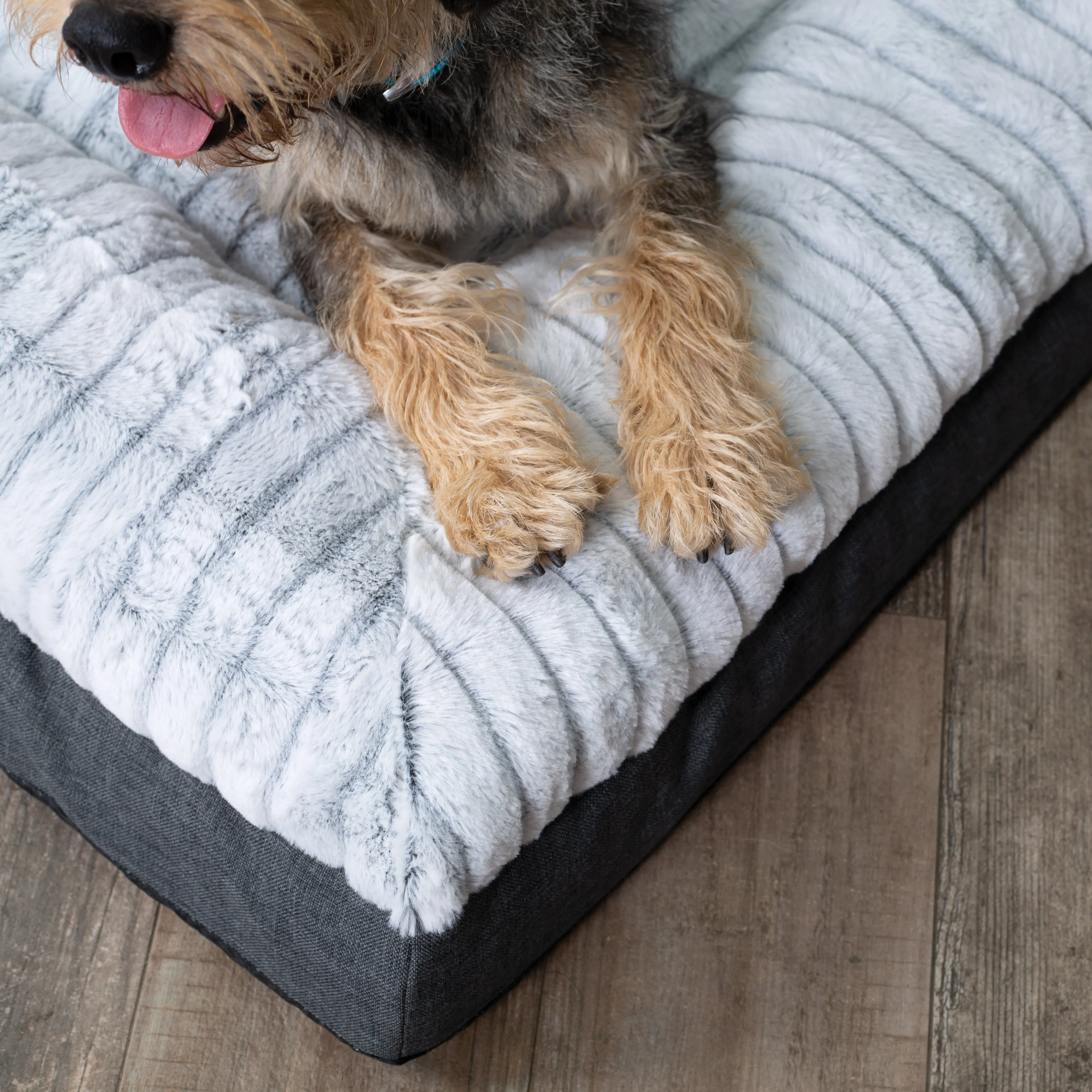 Kazoo Cloud Comfort Extra Large Grey Dog Bed^^^