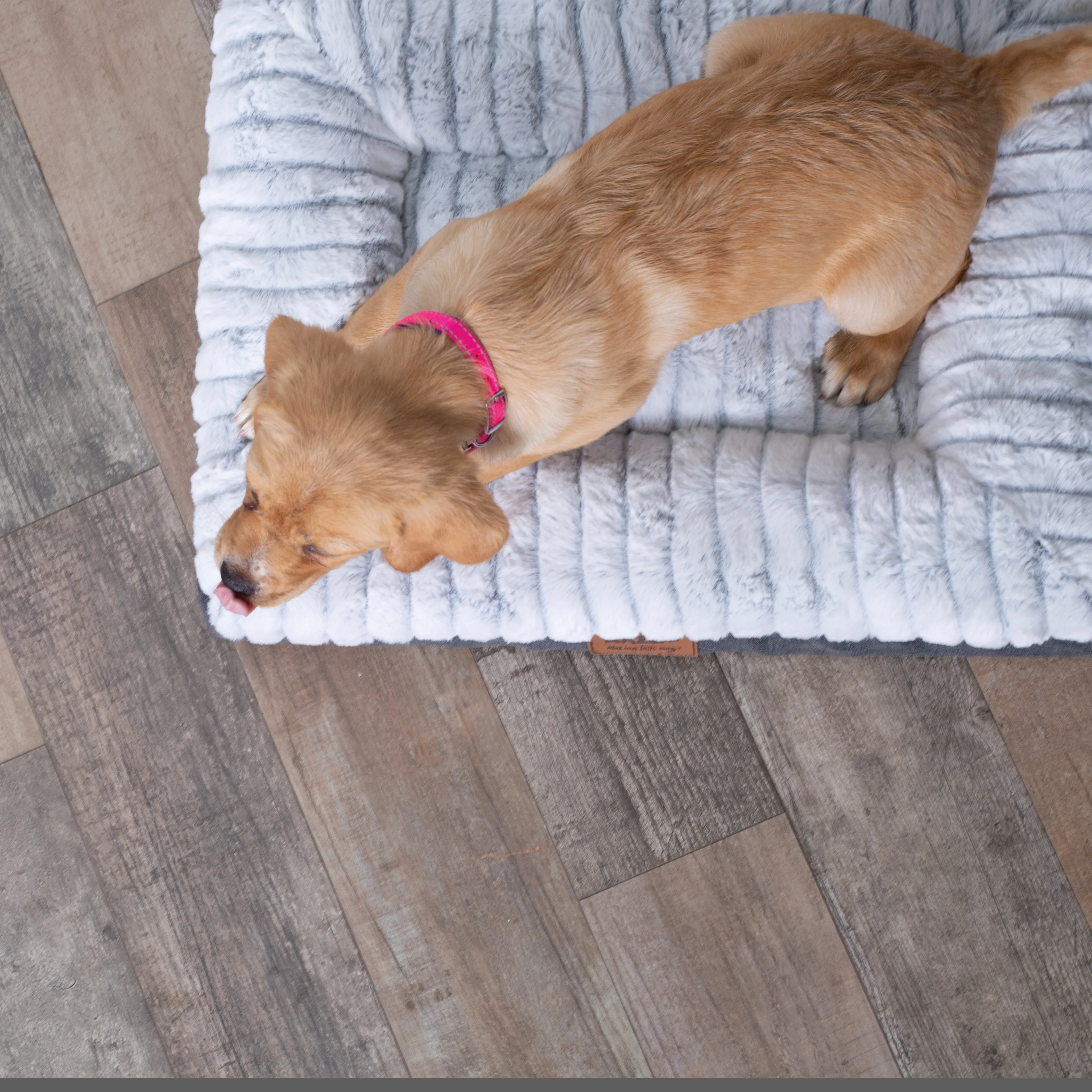 Kazoo Cloud Comfort Extra Large Grey Dog Bed^^^