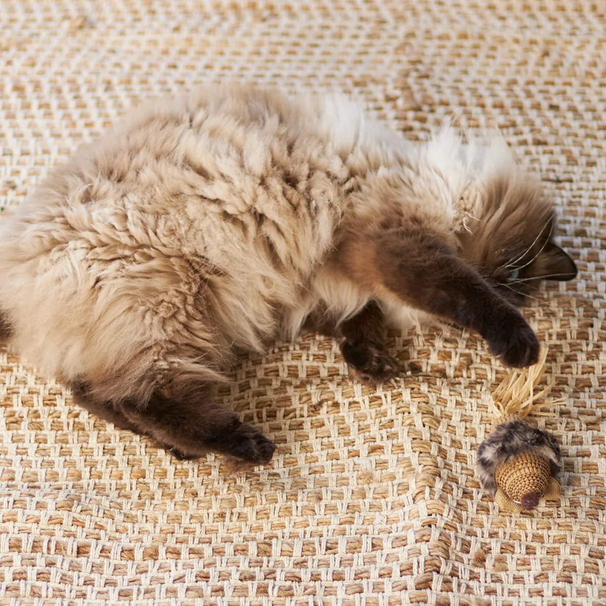 Kazoo Sneaky Mouse Cat Toy^^^