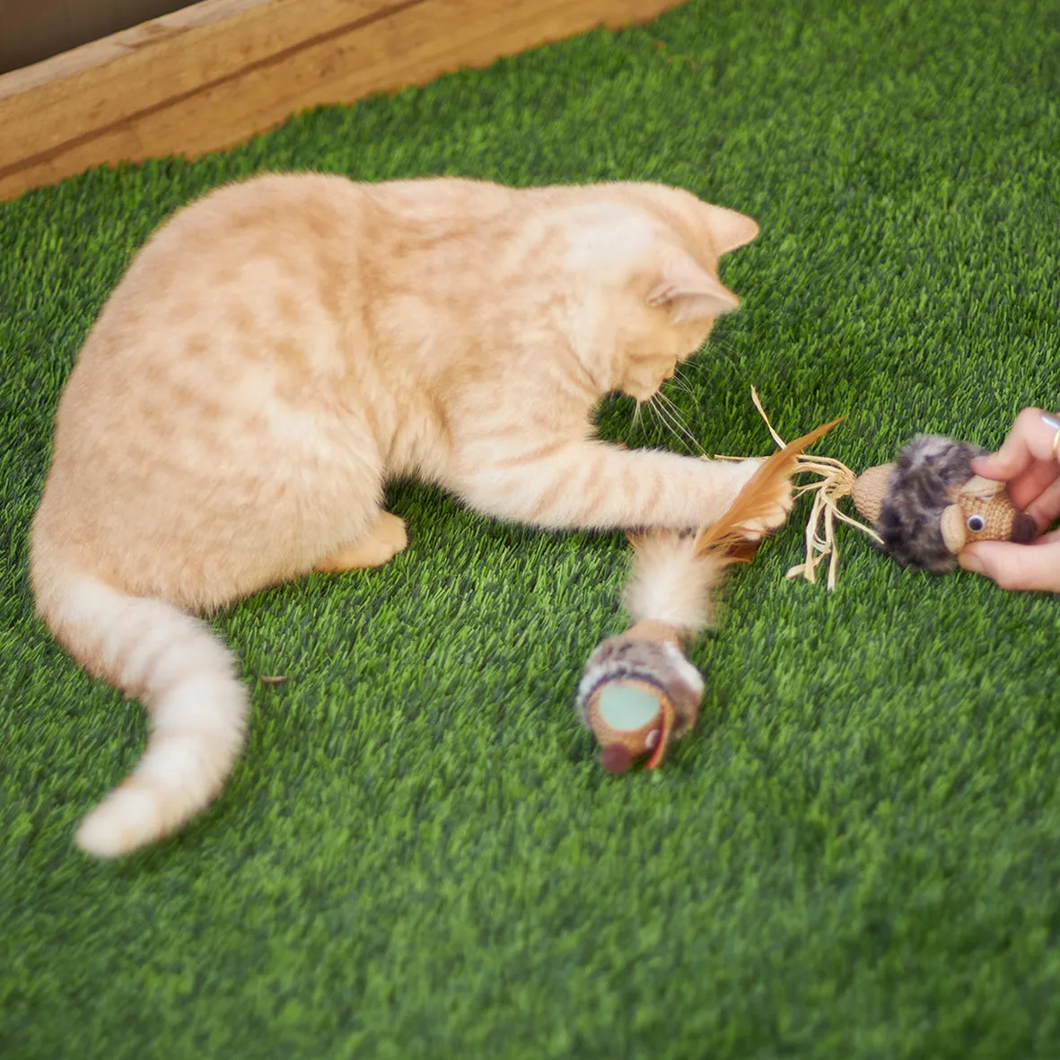 Kazoo Sneaky Mouse Cat Toy^^^