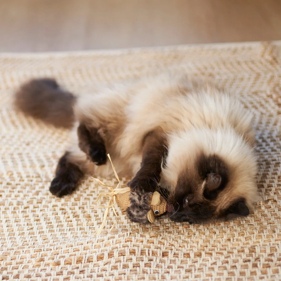 Kazoo Sneaky Mouse Cat Toy^^^