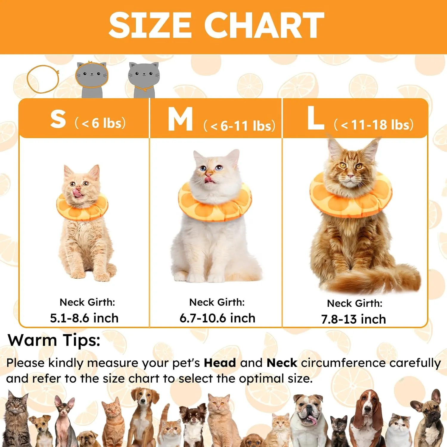 Kitten Cones After Surgery Extra Small Waterproof Cone Collar Soft to Stop Licking Neck Elizabethan Kitten e Collar for Recovery Wound Healing Safety xs Small Cat Donut Cone