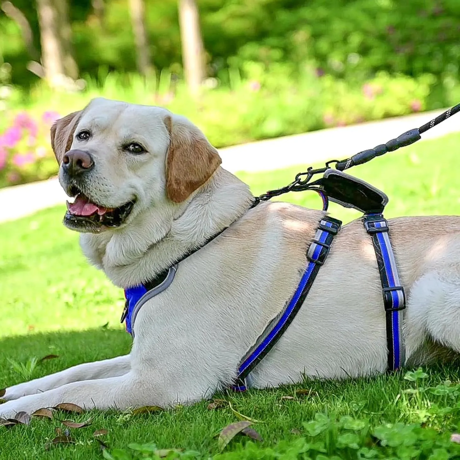 Mihachi Escape Proof Dog Harness - No Pull Dog Harness with Handle, Soft Padded Reflective and Adjustable Full Body Pet Harness Vest for Medium Large Dogs Walking Hiking Training, Blue Large