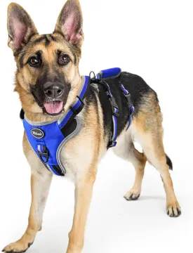 Mihachi Escape Proof Dog Harness - No Pull Dog Harness with Handle, Soft Padded Reflective and Adjustable Full Body Pet Harness Vest for Medium Large Dogs Walking Hiking Training, Blue Large