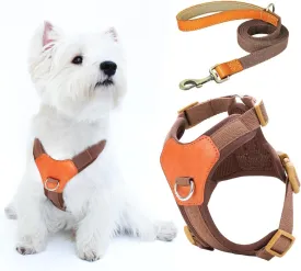 No-Pull No-Choke Dog Harness and Leash Set - Adjustable Soft Padded Vest, Lightweight Retro Design for Small Medium Dogs and Puppies, Easy Control and Comfortable Walk (Brown, XS)