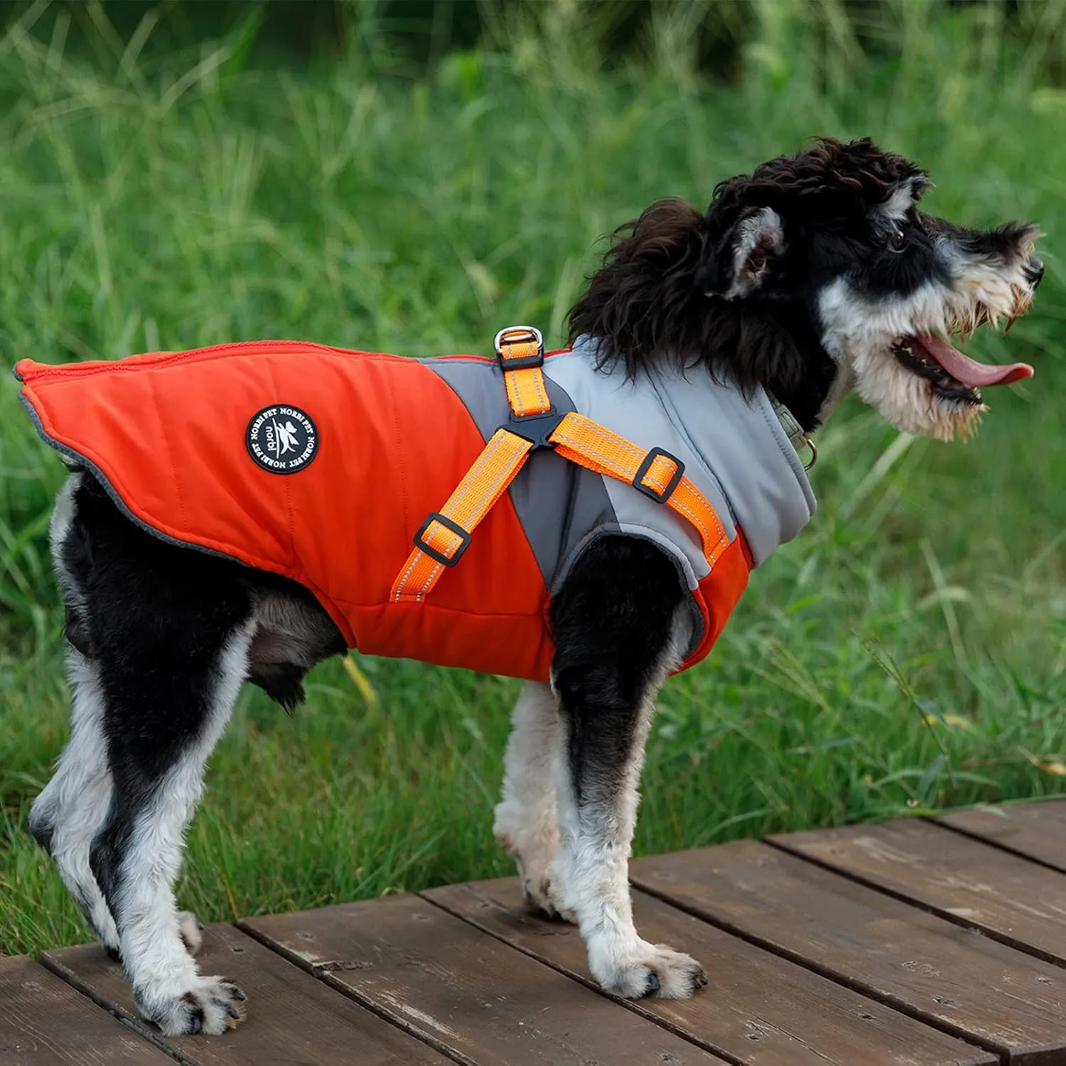 Norbi Small Dog Winter Jacket with Harness - 2 in 1 Puppy Coat