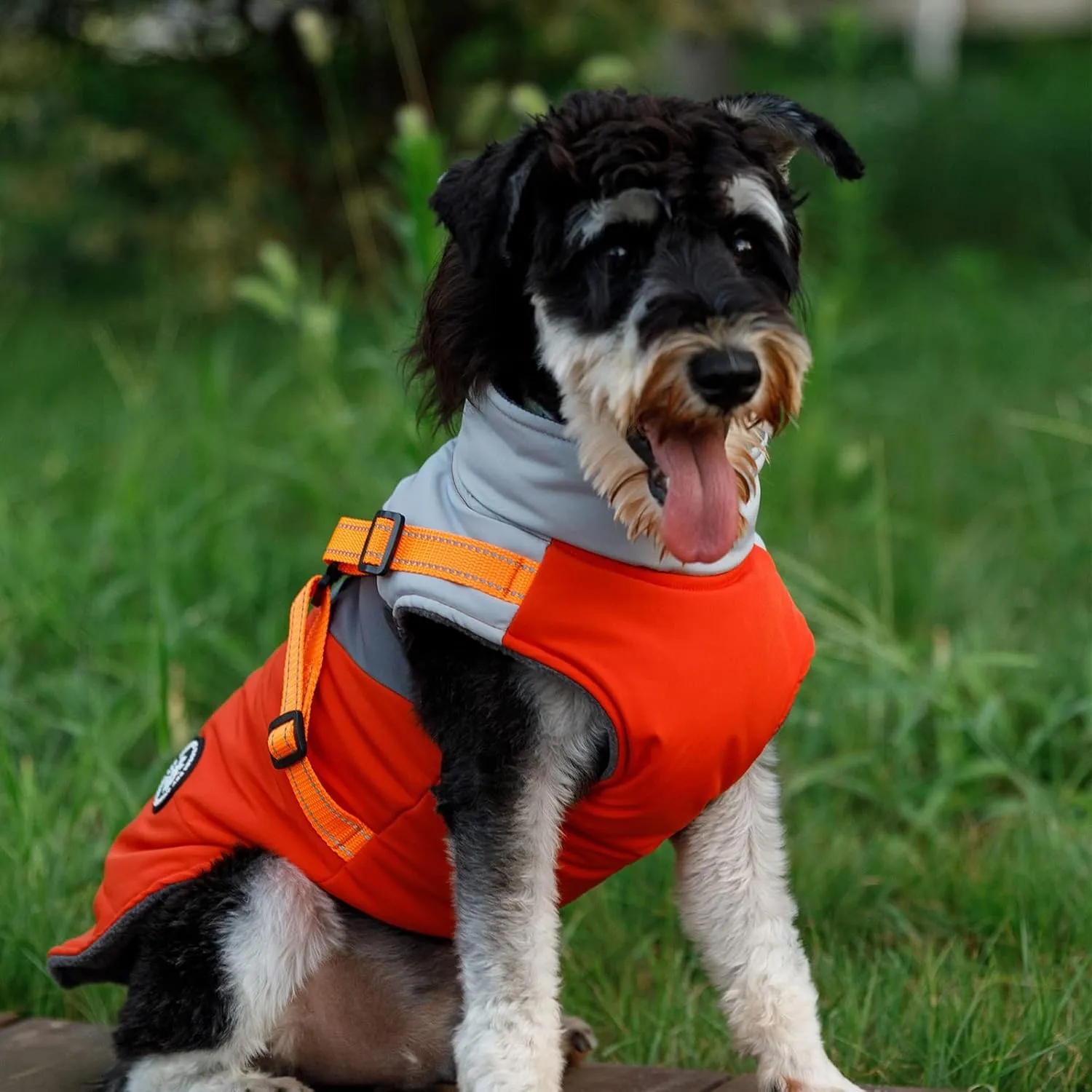 Norbi Small Dog Winter Jacket with Harness - 2 in 1 Puppy Coat