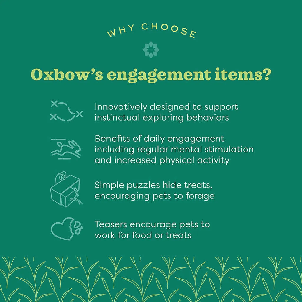 Oxbow Animal Health Enriched Life Small Animal Bamboo Play Pouch