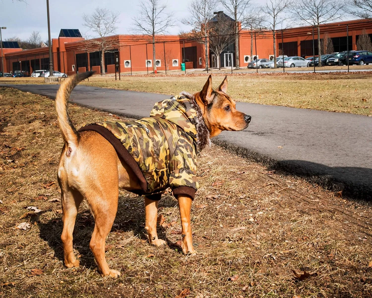 PET LIFE Classic Metallic Fashion Pet Dog Coat Jacket Parka w/ 3M Insulation and Removable Hood, Small, Camouflage