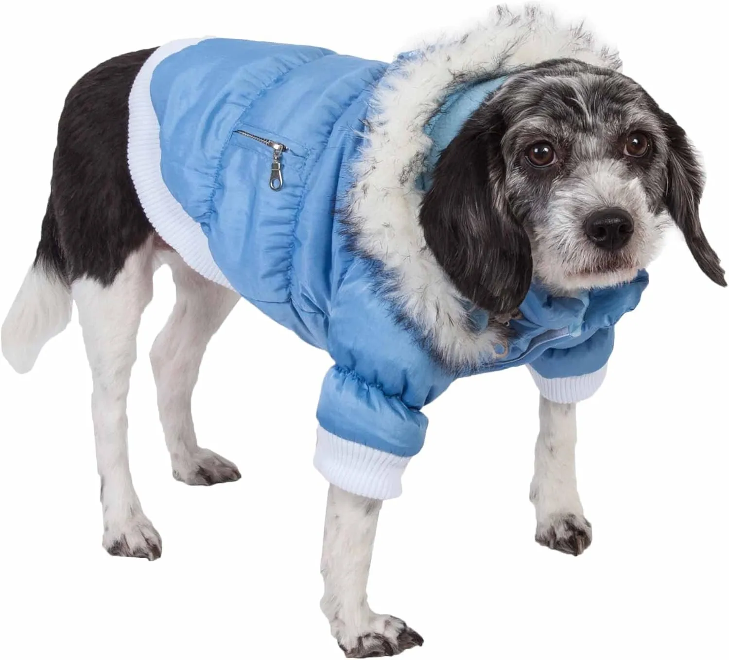 PET LIFE Classic Metallic Fashion Pet Dog Coat Jacket Parka w/ 3M Insulation and Removable Hood, Small, Sky Blue