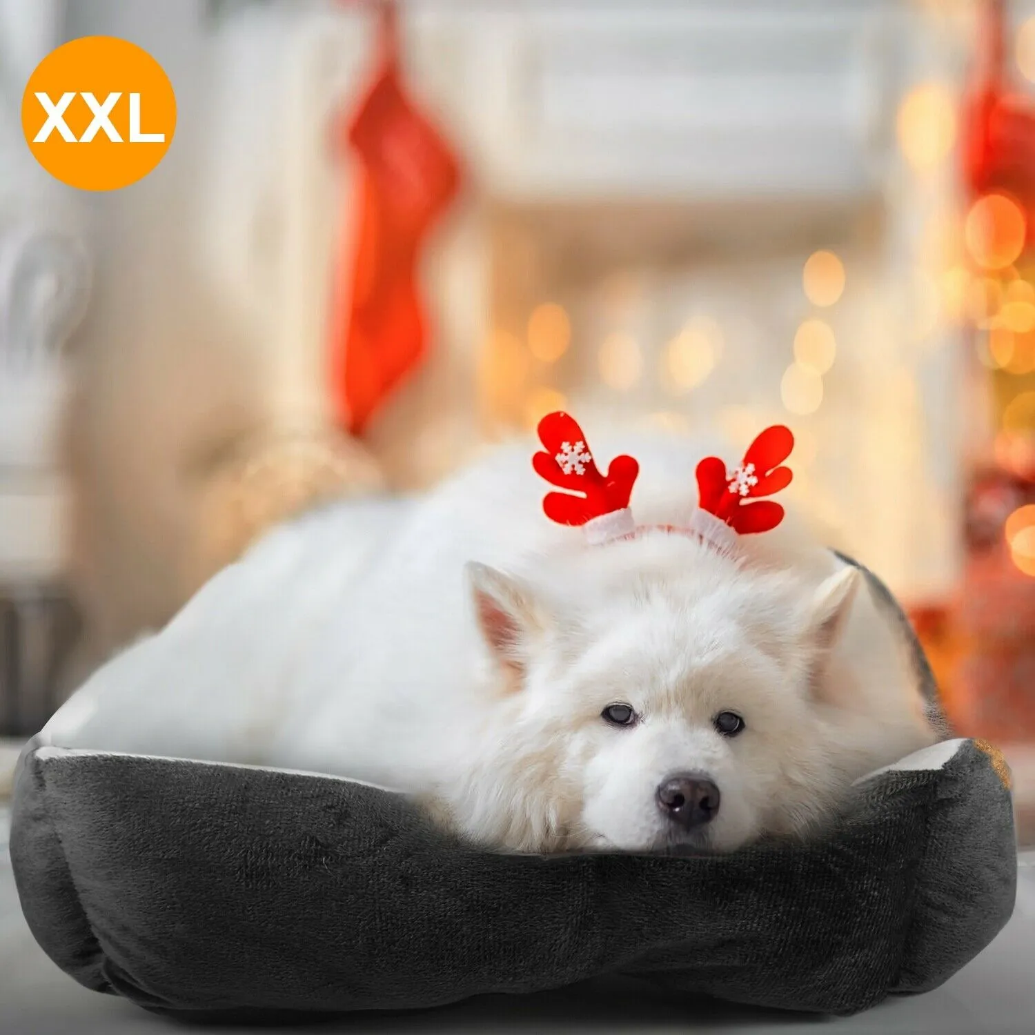 PETLAVISH™ Plush Dog/Cat Non-Slip Bed: S-XXL Cozy Fleece Cushion Mat Kennel w/ BONE Toy