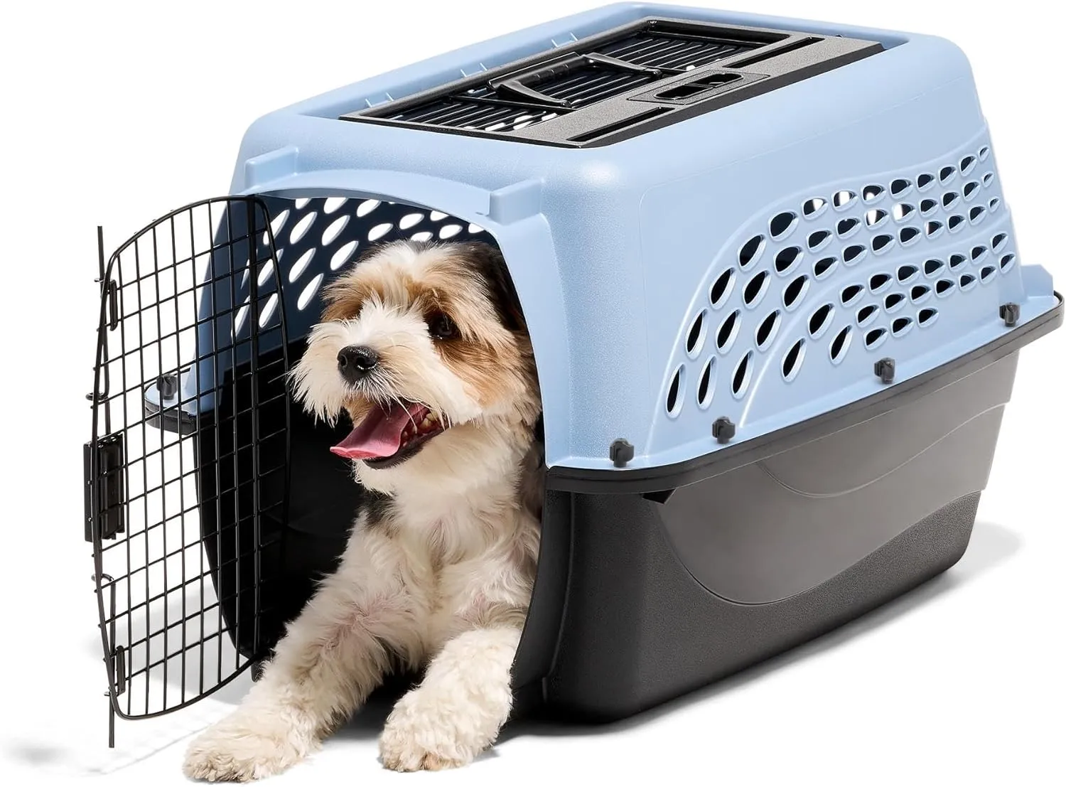 Petmate Dog Crates for Small Dogs & Cat Carriers, Two-Door Plastic Pet Kennel, Top & Front Loading, Made in USA, 24", Blue