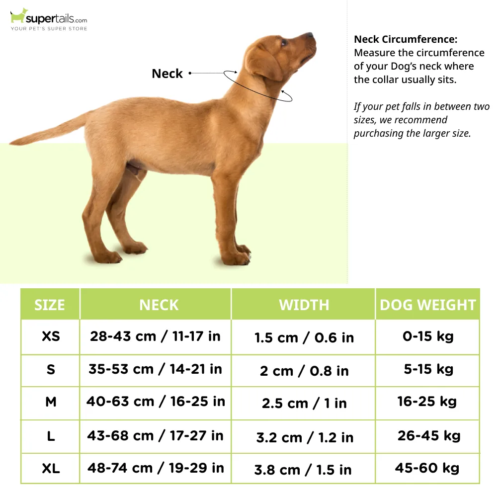 Pets Like Nylon Collar with Adjustable Clip Collar for Dogs (Yellow)