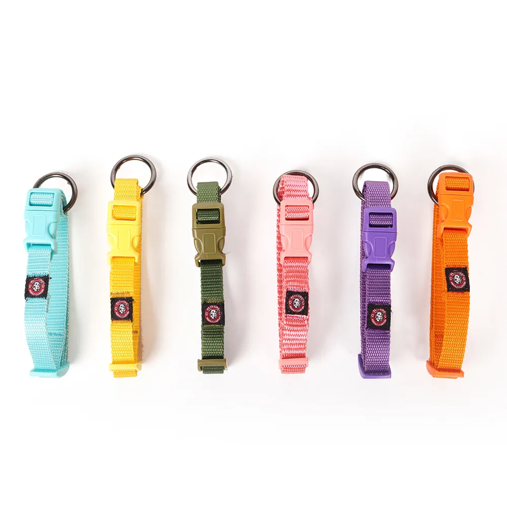 Pets Like Nylon Collar with Adjustable Clip Collar for Dogs (Yellow)