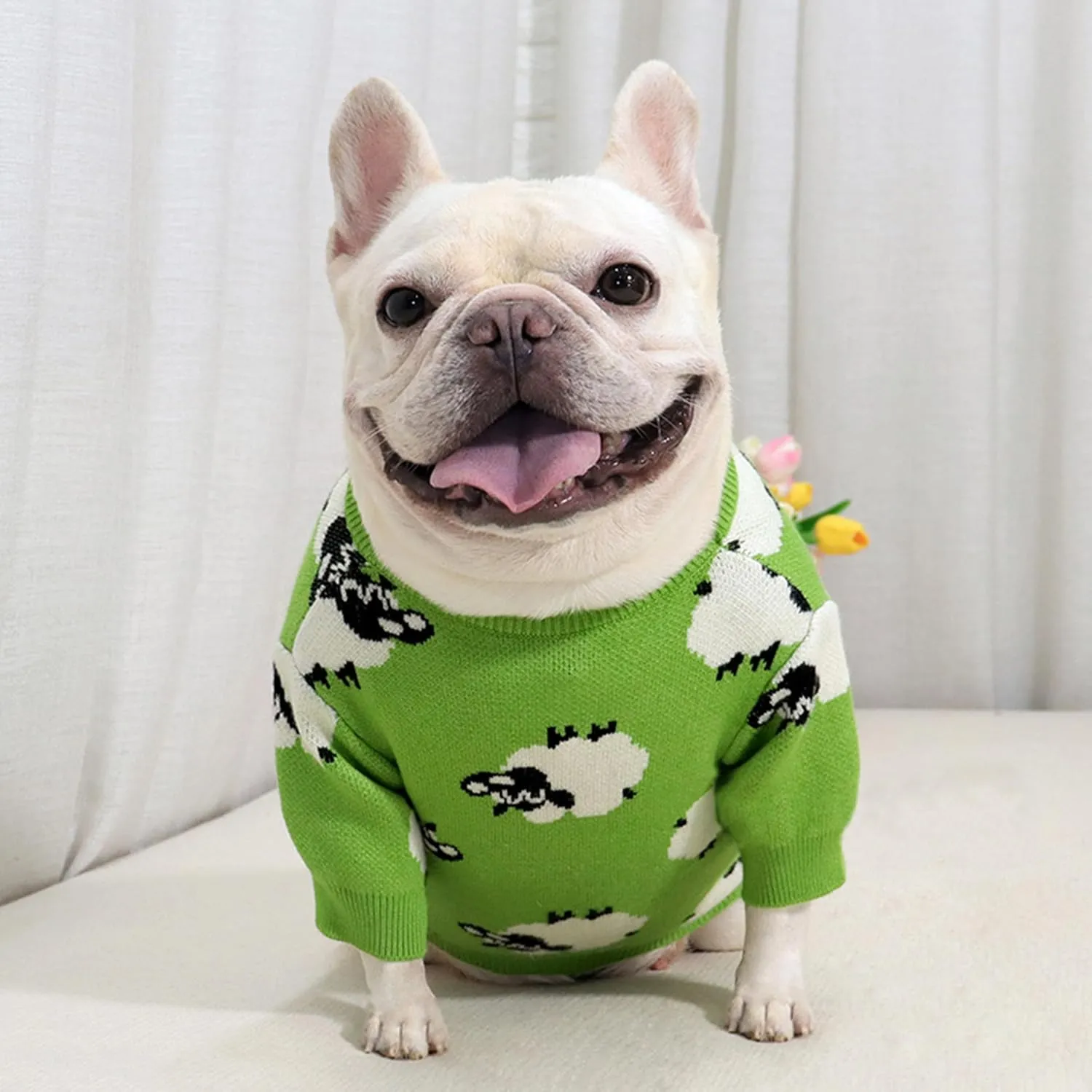 PUMYPOREITY French Bulldog Sweater, Cold Weather Pullover Sweater for French Bulldog, Winter Warm Clothing for Frenchie Dogs, Green, S