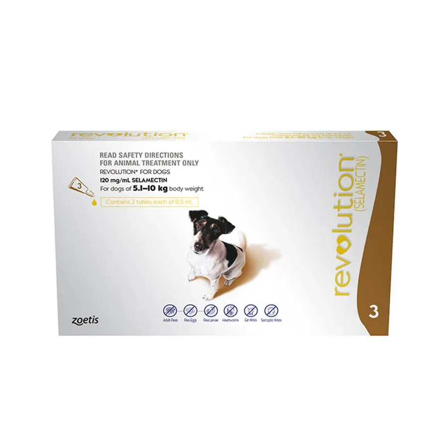 Revolution Dog Small Brown