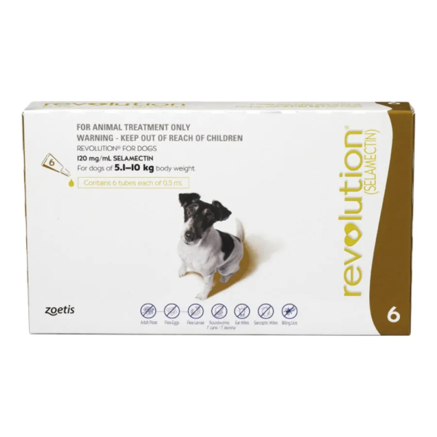 Revolution Dog Small Brown