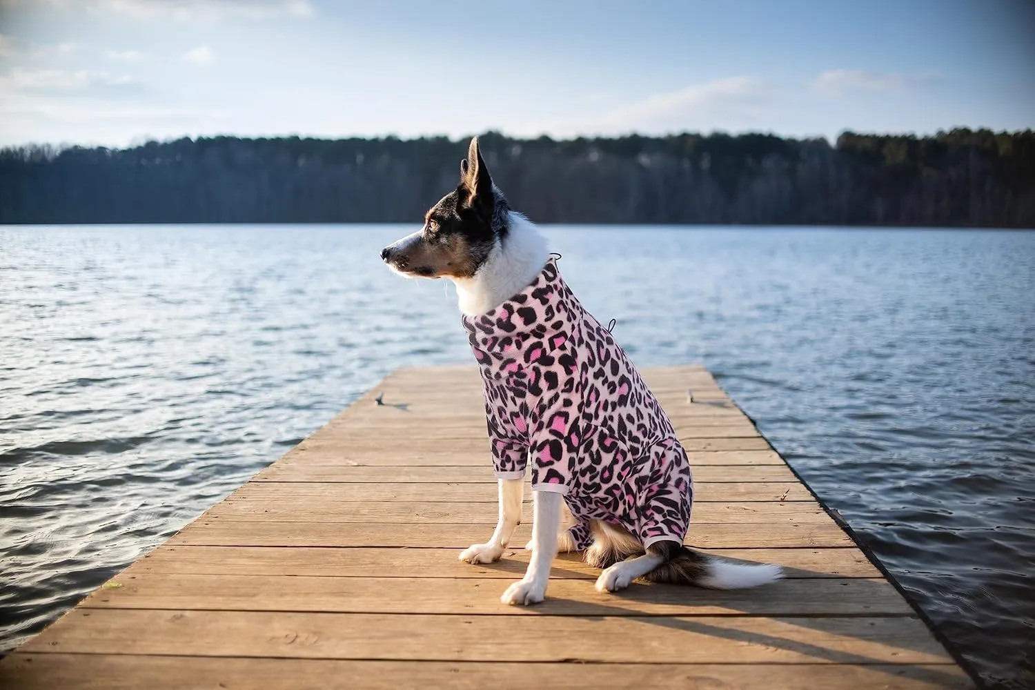 ROZKITCH Dog Winter Coat Soft Fleece Pullover Pajamas, Pet Windproof Warm Cold Weather Jacket Vest with Luminous Zipper, Jumpsuit Apparel Outfit Clothes for Small Medium Large Dog L-Pink 3XL