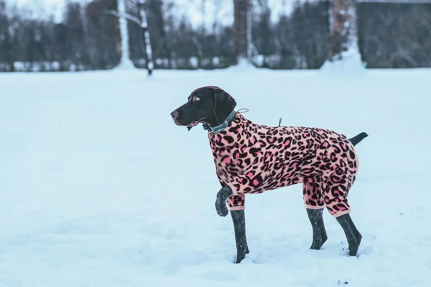 ROZKITCH Dog Winter Coat Soft Fleece Pullover Pajamas, Pet Windproof Warm Cold Weather Jacket Vest with Luminous Zipper, Jumpsuit Apparel Outfit Clothes for Small Medium Large Dog L-Pink 3XL
