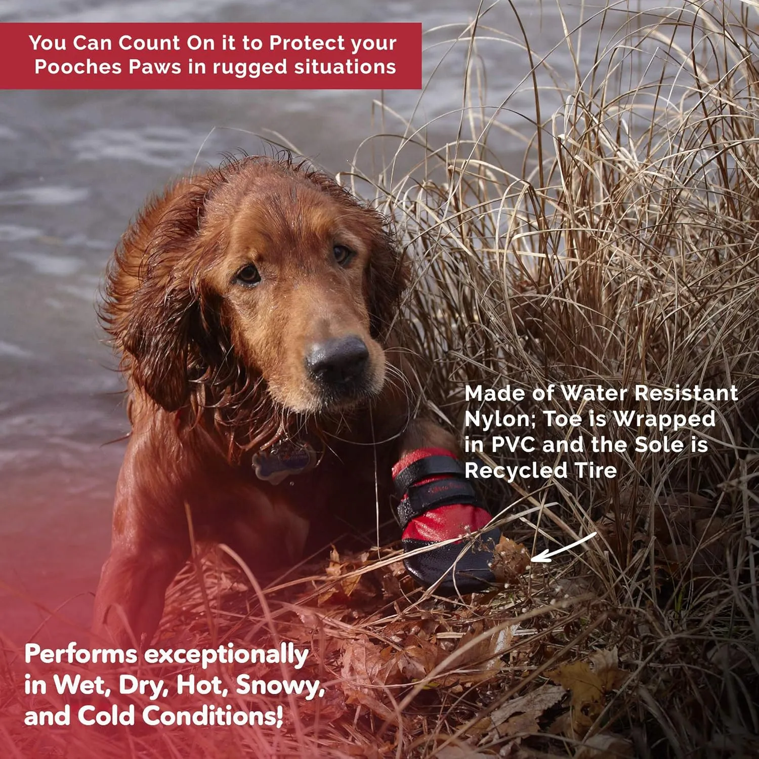 Rugged Dog Boots and Paw Protectors for Small, Medium and Large Dogs Red (Size 6)