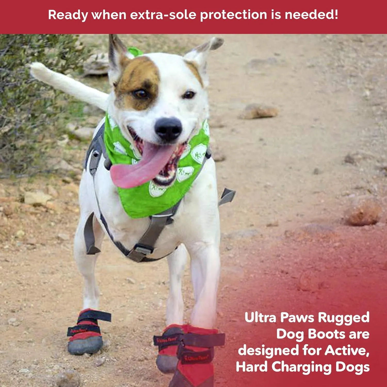 Rugged Dog Boots and Paw Protectors for Small, Medium and Large Dogs Red (Size 6)